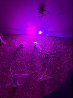 LED Grow Lights