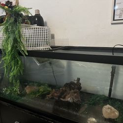 75 Gallon Aquarium With Penn Plax Cascade 400 Gph 