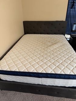 Queen bed + frame