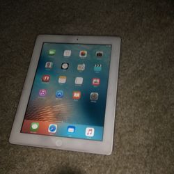 Apple iPad With Case 2013