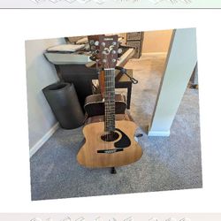 Make Beautiful Music with Acoustic Electric Guitar Range suddenly them