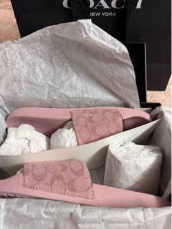 Pink coach slides