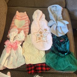 Dog Clothes And Toys