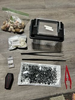Jumping Spider/Small Animal Enclosure with Accessories