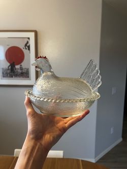 Clear Indiana hen on nest