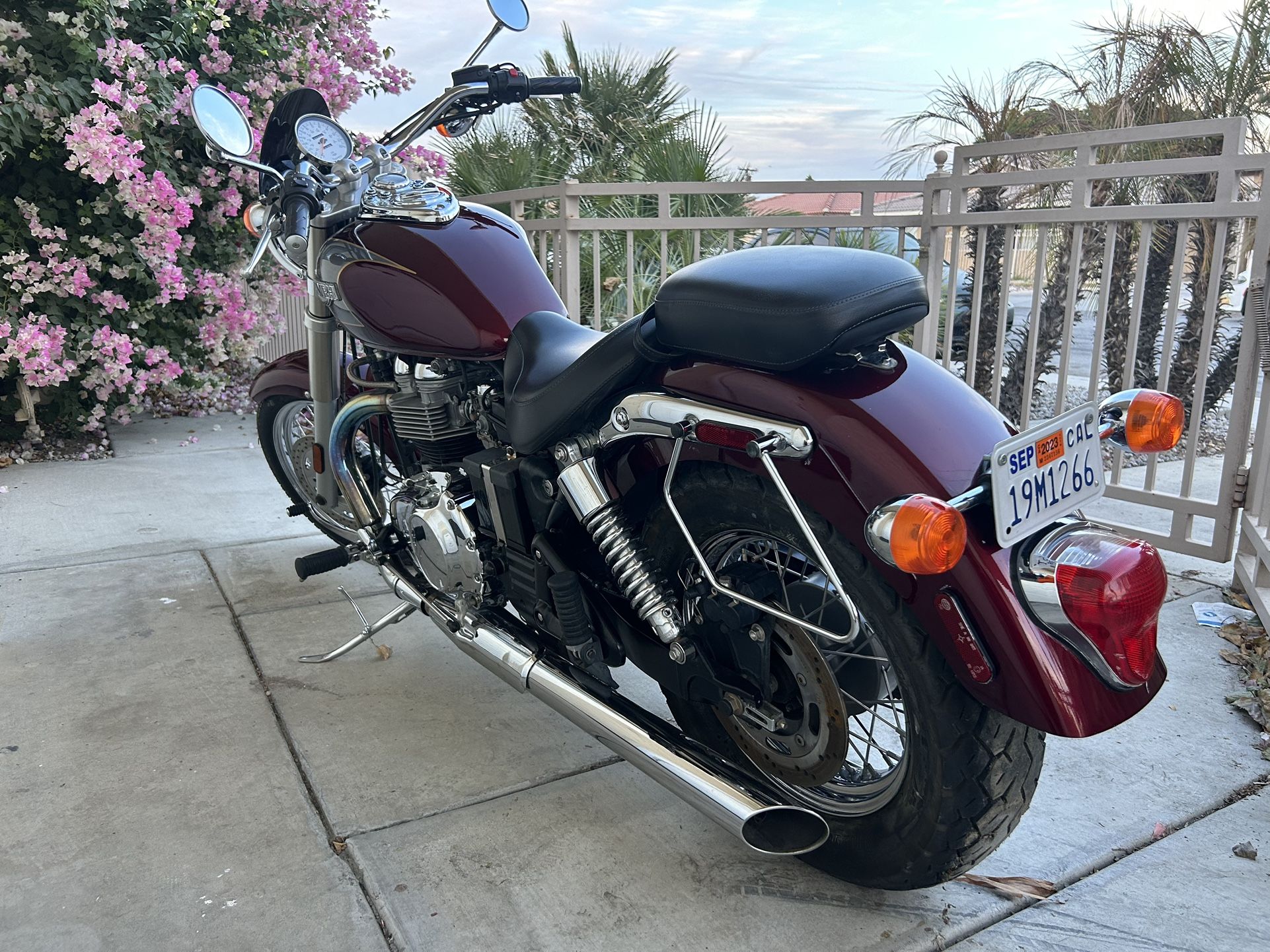 2005 Triumph America