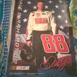 Dale Earnhardt Jr Poster 