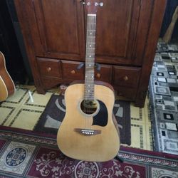 Lion Guitar 