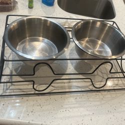 Dog Bowls 