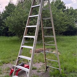 10ft Werner(Green Bull Line) Fiberglass Ladder