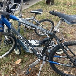 Giant Sedona Mountain Bike 