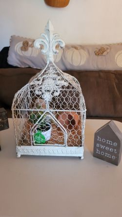 Cute birdcage