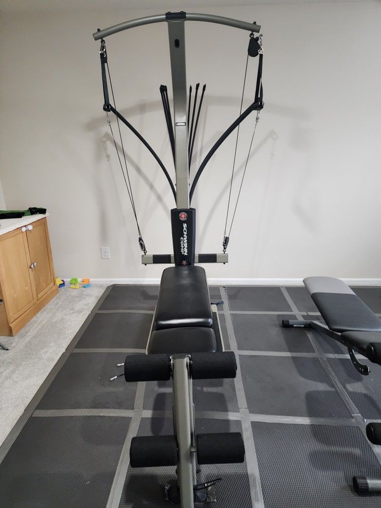 Schwinn Whole Body Workout