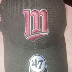Minnesota Twins Hat 
