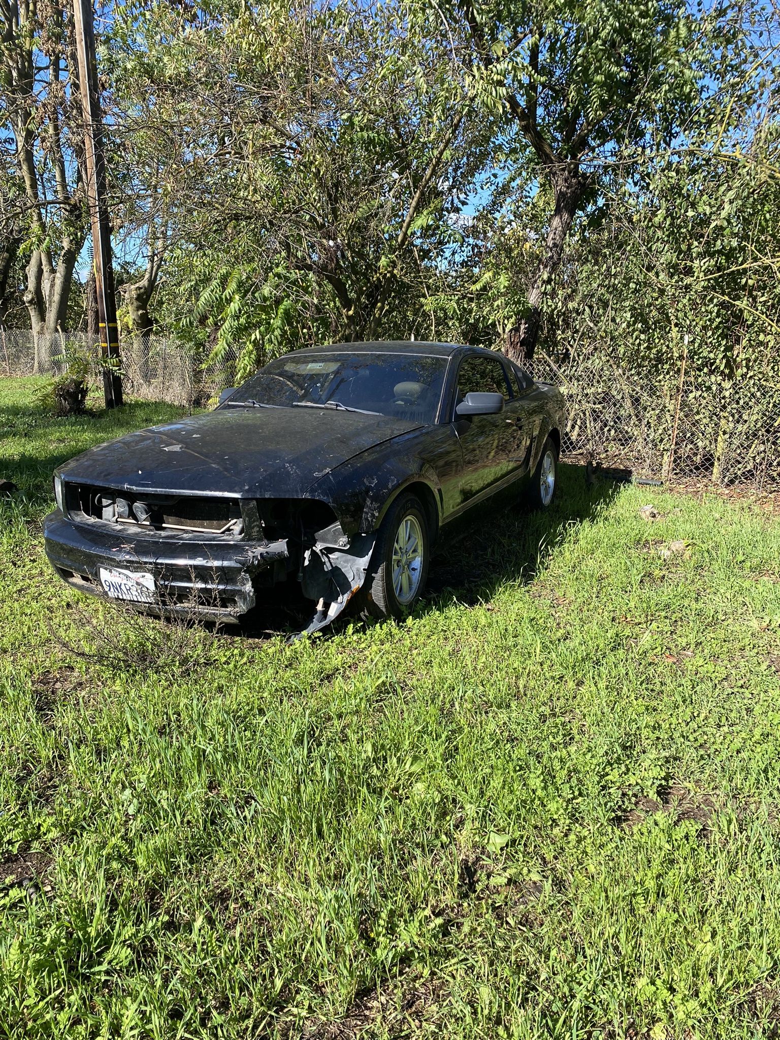 Mustang For Parts
