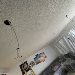 Can Lights/ Fan