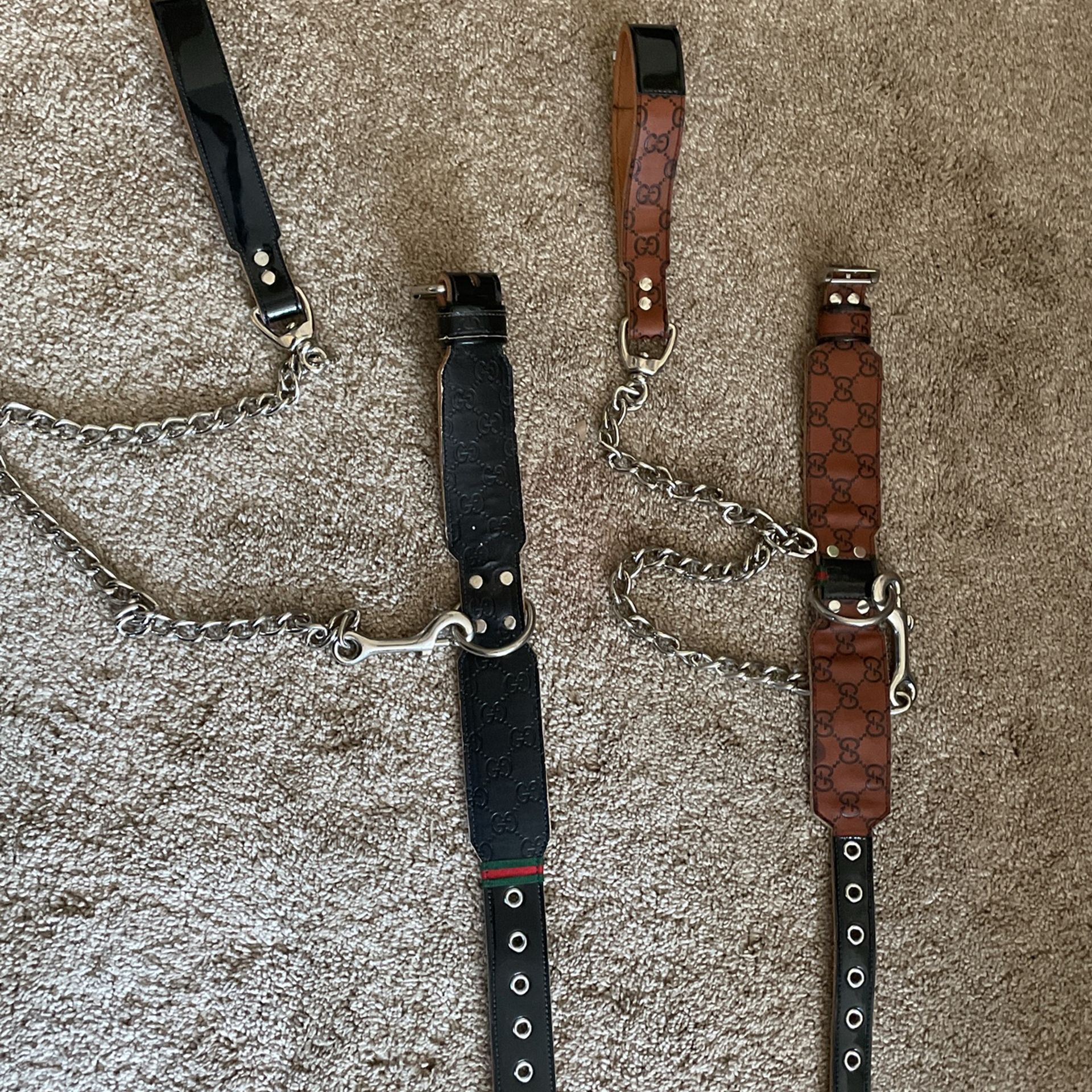 Gucci Dog Collar And Matching leash