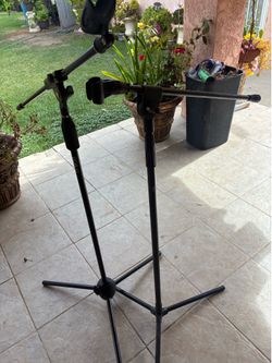🎤 Stands