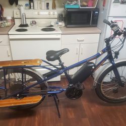 Rad Power Bikes RadWagon 131 Miles