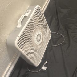 Fan