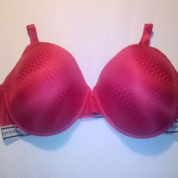 Ashley Stewart 42DDD