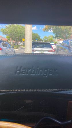 Harbinger large leather/suede weight lifting belt