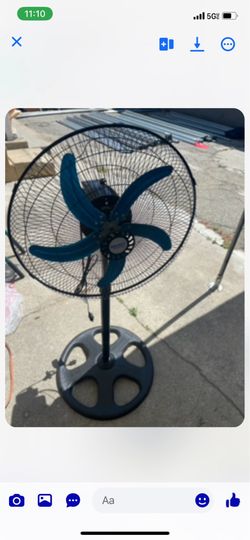 Fan