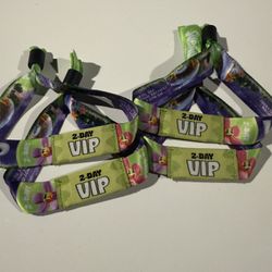 Suenos Music Festival 2025 SUNDAY ONLY VIP PORTION-$250 EACH