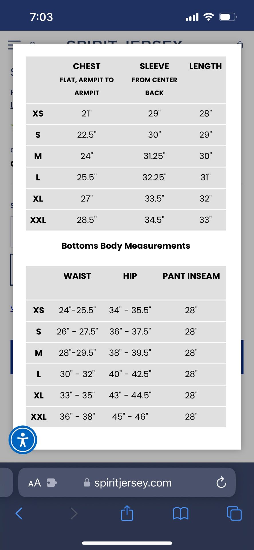 Sylveon Spirit Jersey Pokemon