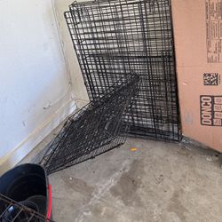 2 Dog Cages 