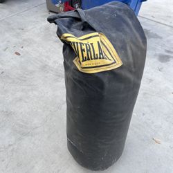 Big Punching Bag