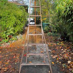 8 Foot Ladder