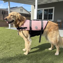 Dog Life Jacket