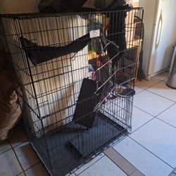 Cat Retreat/Ferret Cage