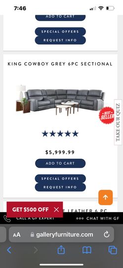 Leather Couches
