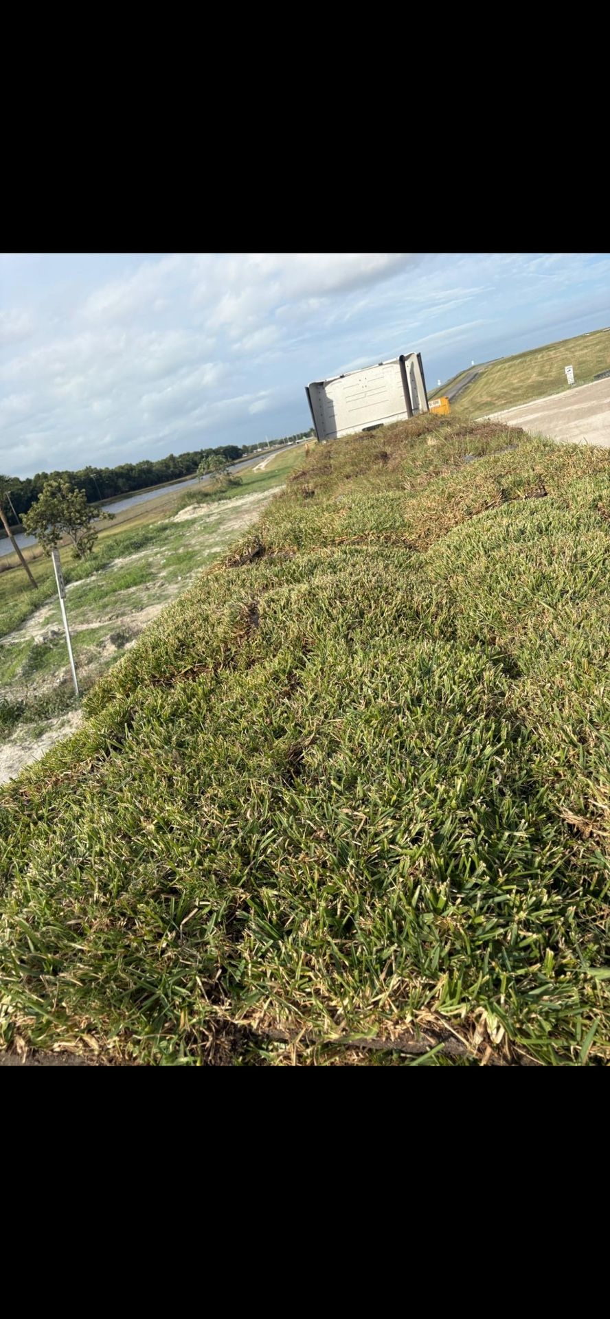 St. Augustine Sod 500sqft