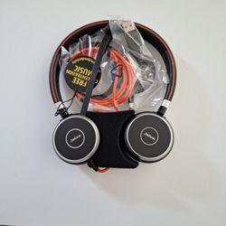 Professional Headset Jabra Evolve 40