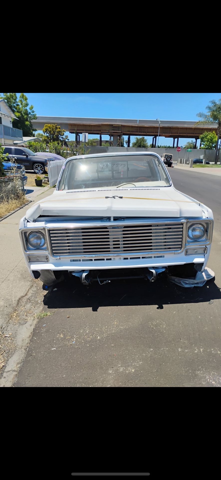 1977 Chevy Hood