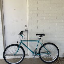 Schwinn Mirada 