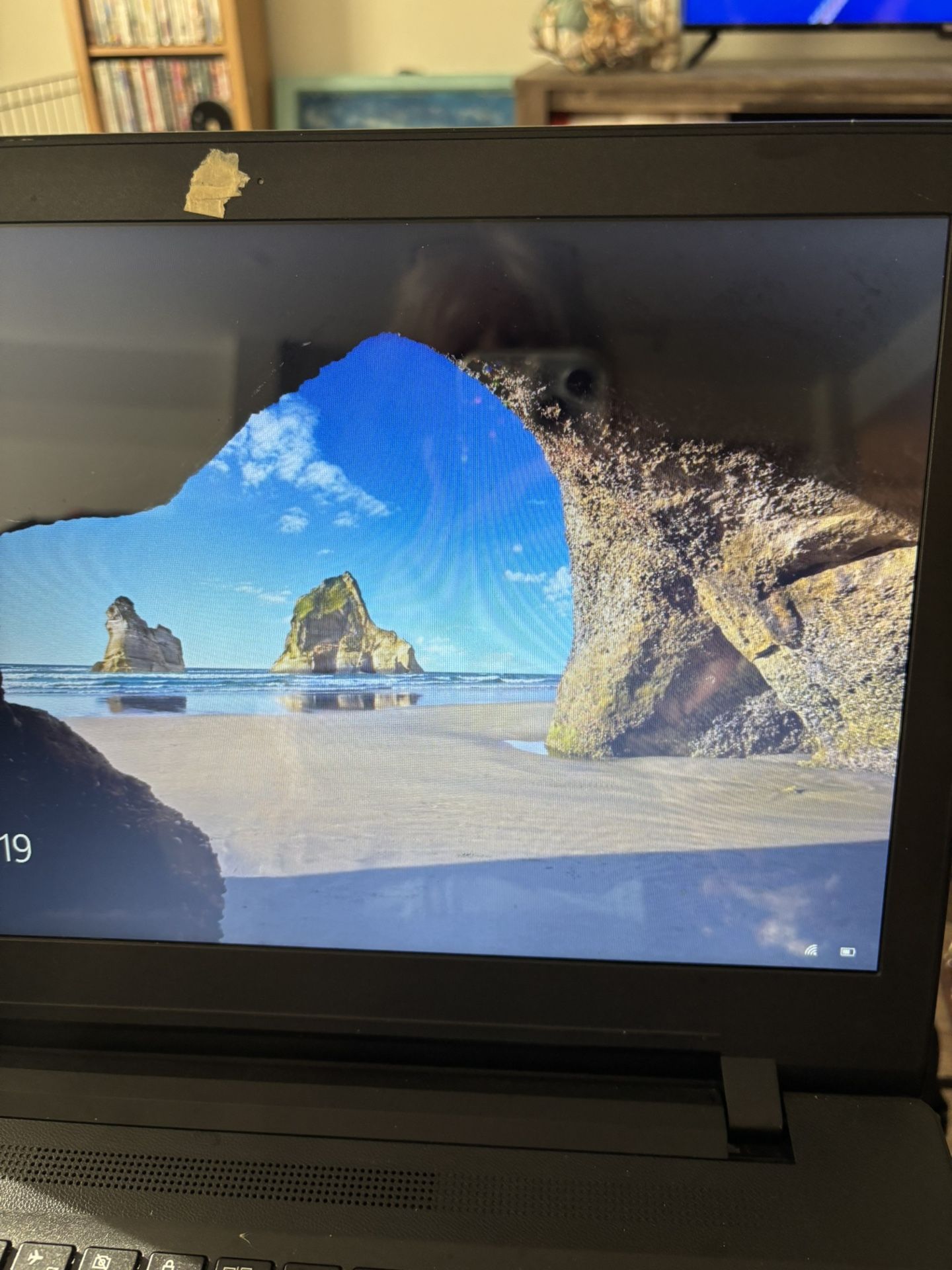 Like  New With    Bag Mouse 