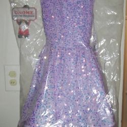 Little Girls Princess Dress