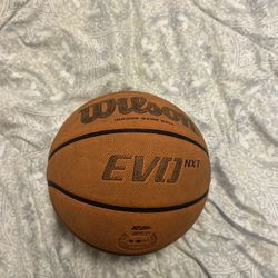 Wilson Evo Nxt Basketball 