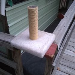 Cat Time Cat Scratching Post.