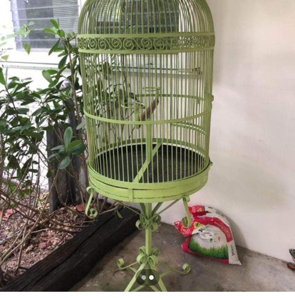  Bird Cage 