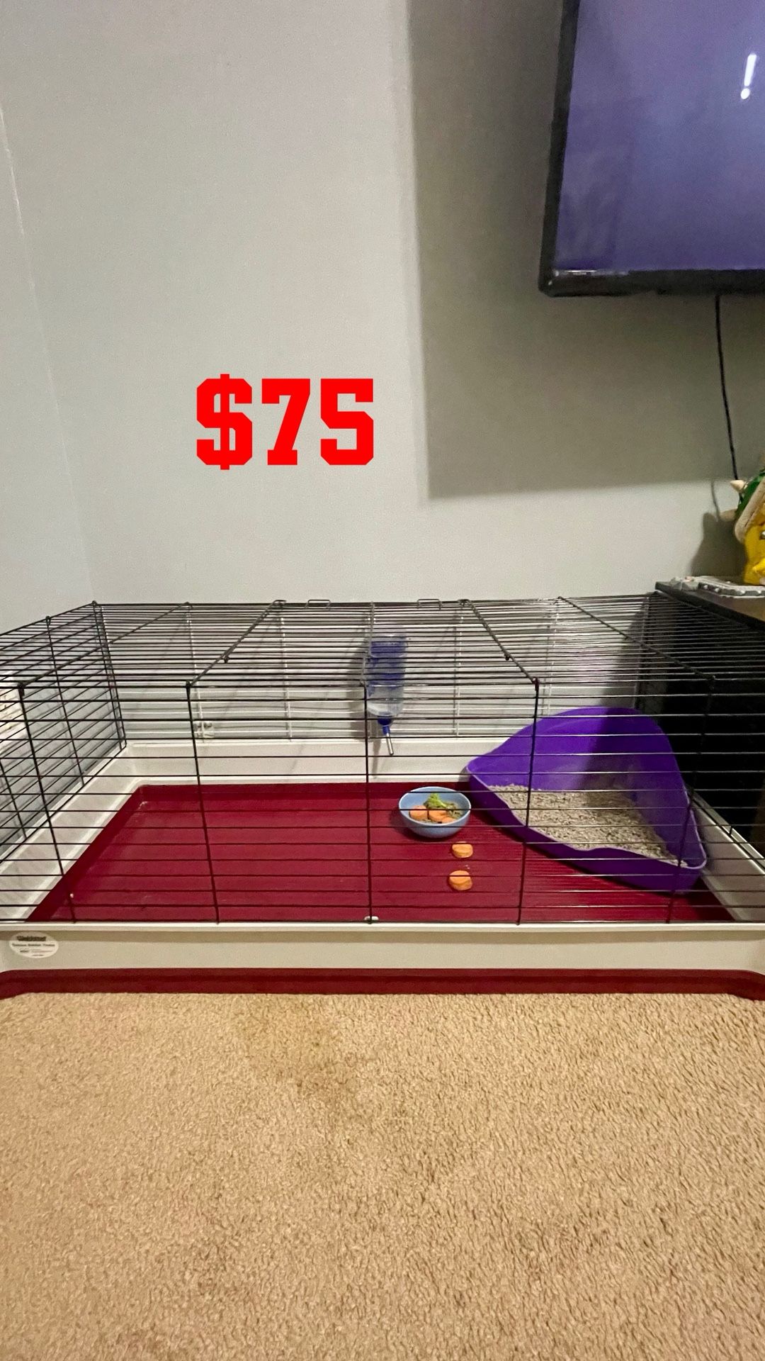 Cage
