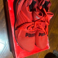Puma Lgnite Limits 