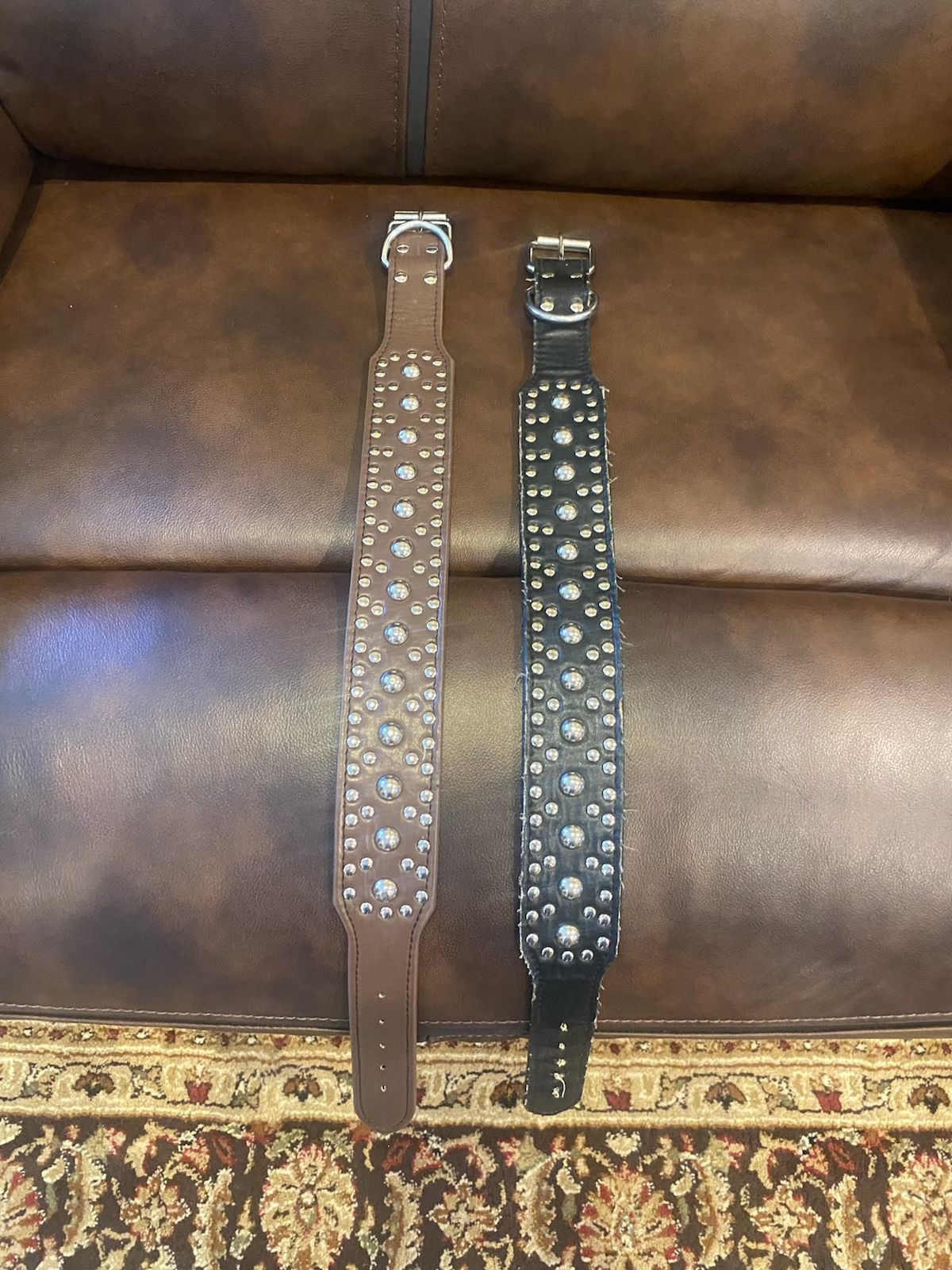 24 Inch Dog Collar