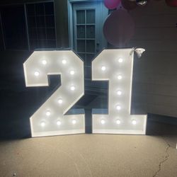 4Ft Numbers W Lights 
