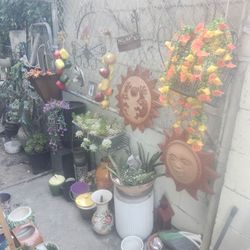Big plant yard sale starts today!! Everything is for sale!!!!