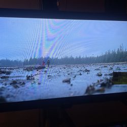 Roku tv 